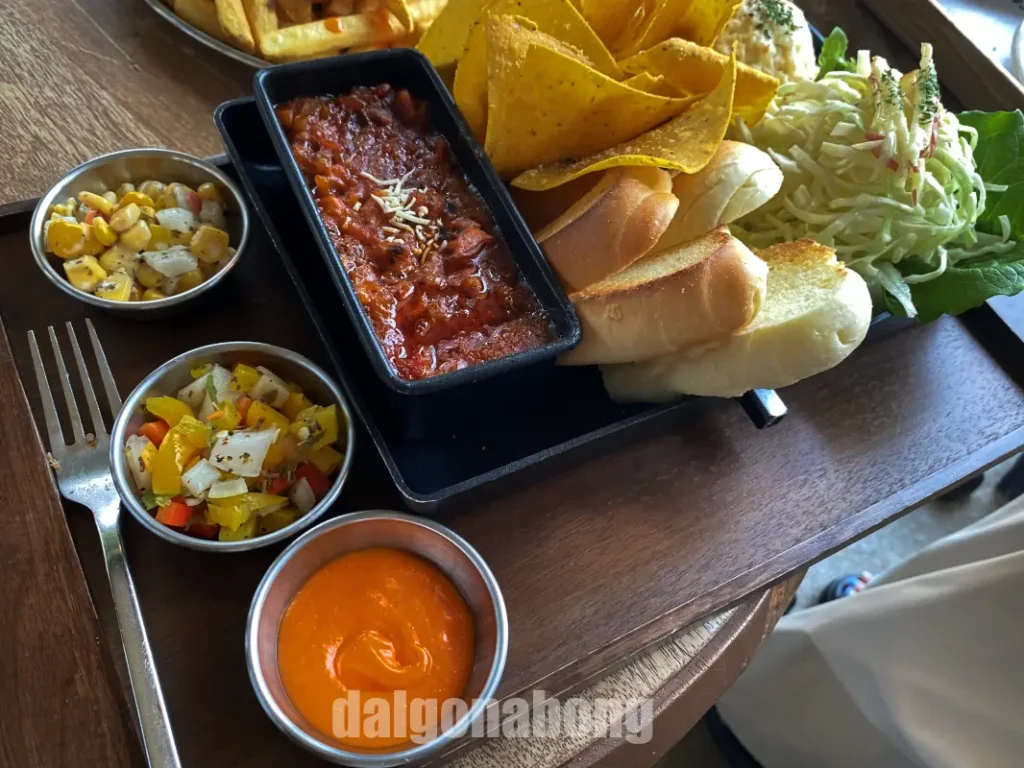 춘천 애견 동반 카페 카페드220볼트
