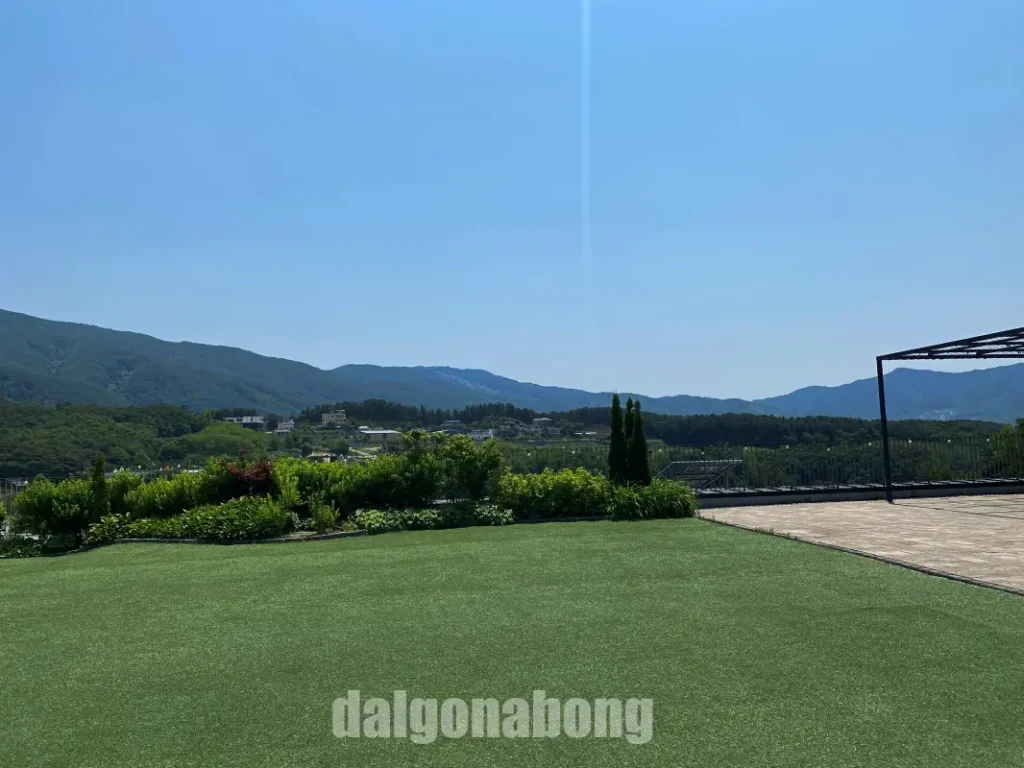 춘천 애견 동반 카페 카페드220볼트