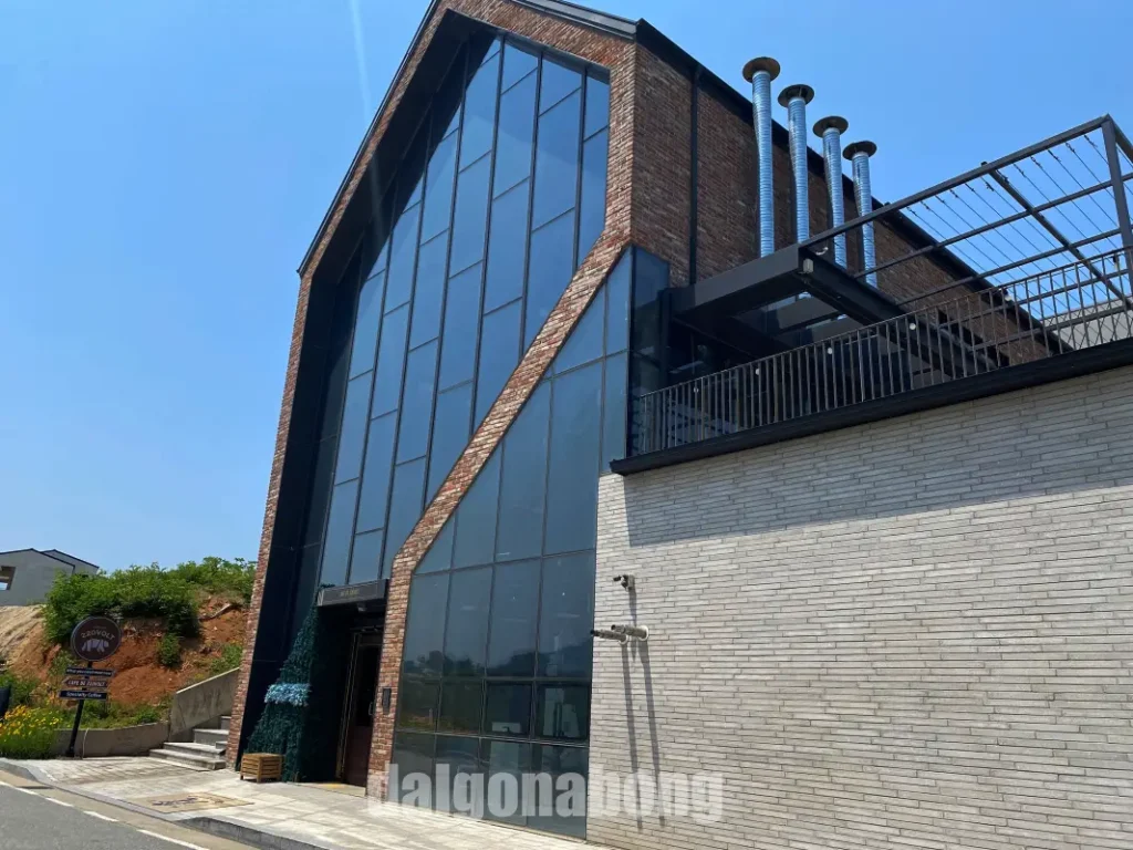 춘천 애견 동반 카페 카페드220볼트