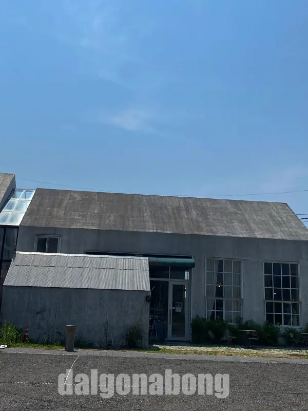춘천 애견 동반 카페 카페드220볼트